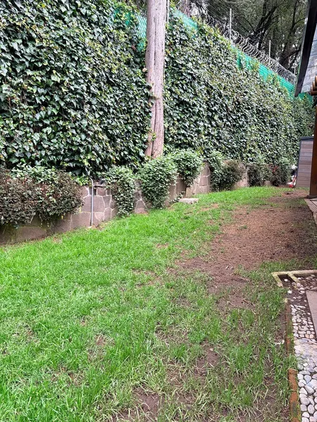 Foto 18