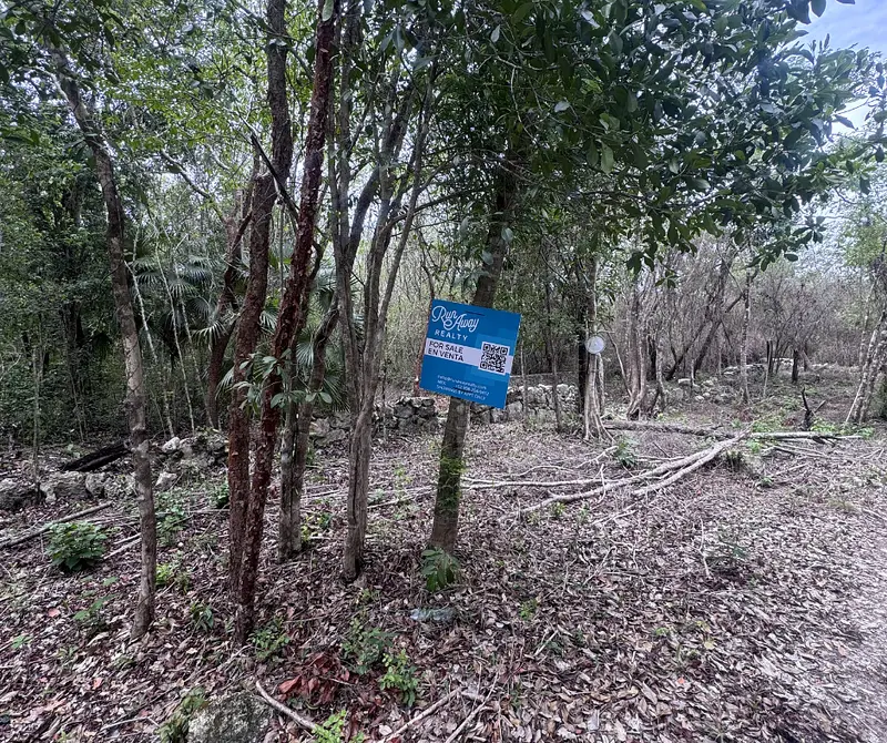 Lote en venta · Puerto Morelos, Quintana Roo Lote en venta · Puerto Morelos, Quintana Roo