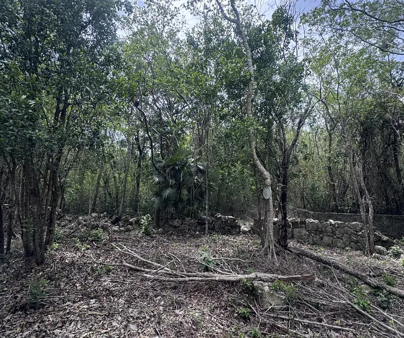 Lote en venta · Puerto Morelos, Quintana Roo