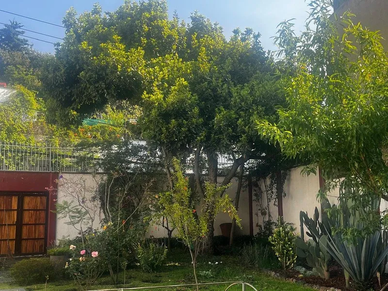 Foto 8