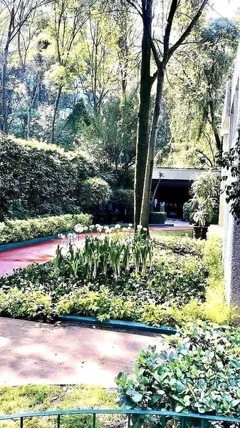 Foto 37