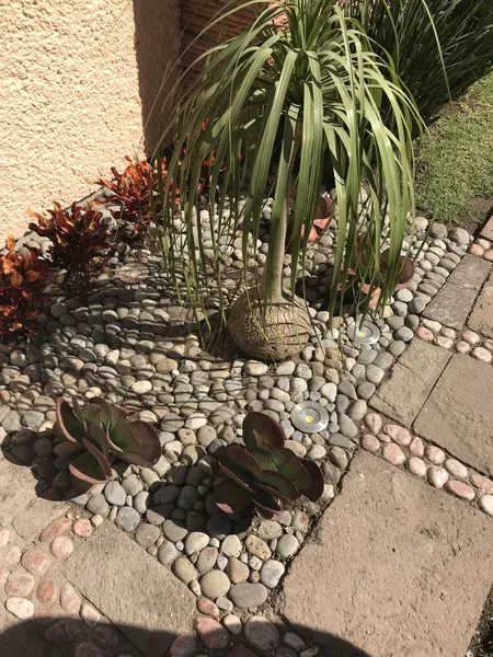 Foto 23