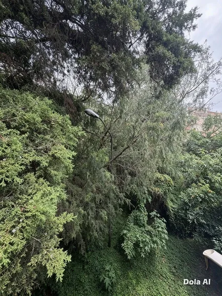 Foto 42