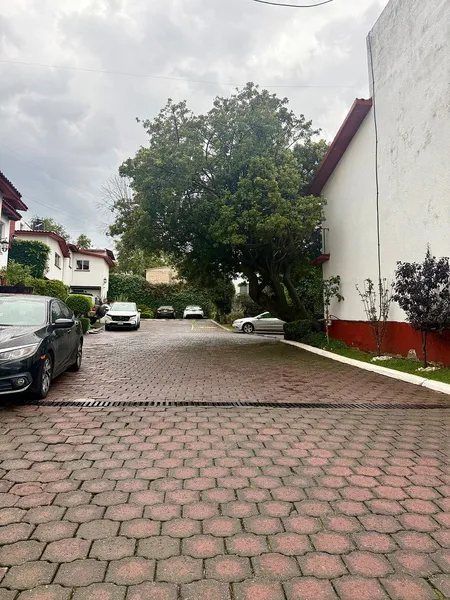 Foto 41