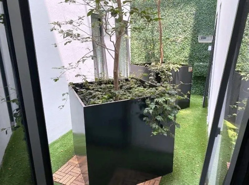 Foto 7