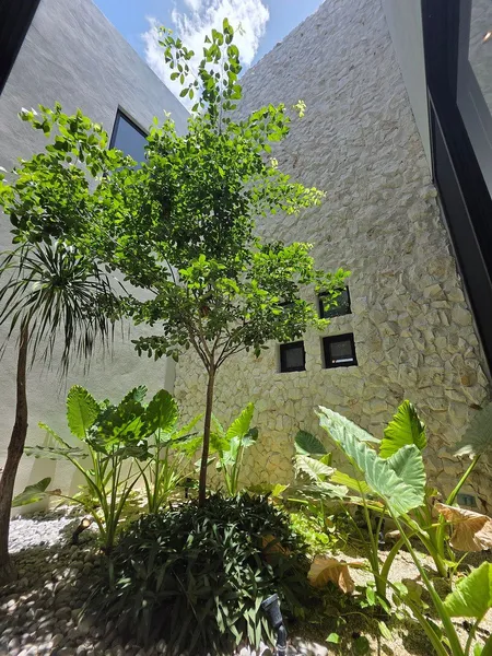 Foto 7