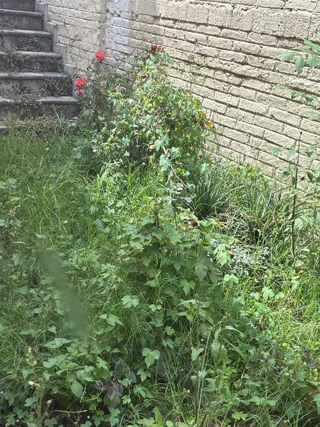 Foto 18
