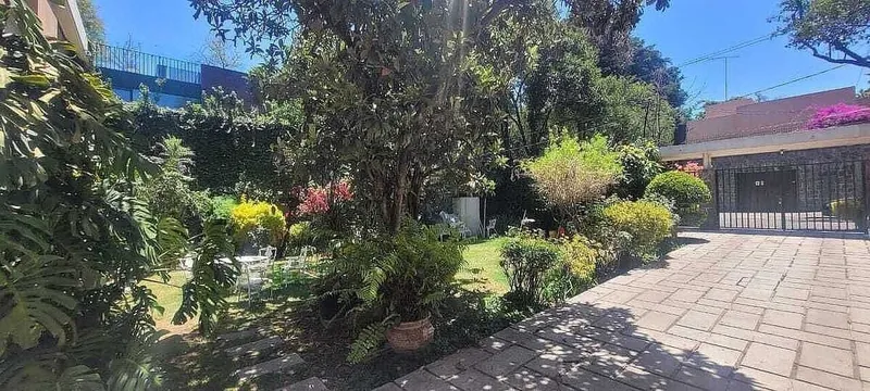 Foto 4