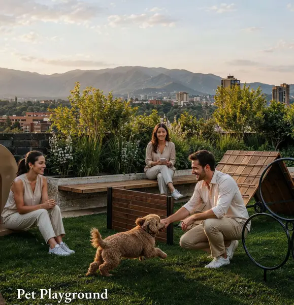 Pet playgr.png