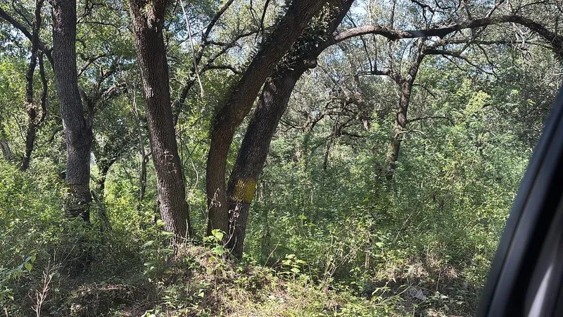 Lote en venta · El Barrial, Santiago, Nuevo León