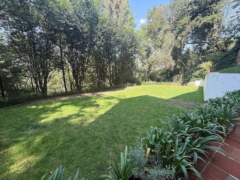 Foto 19