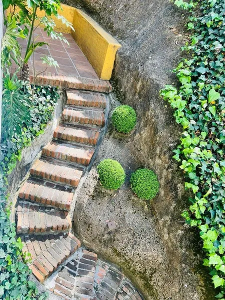 Foto 15