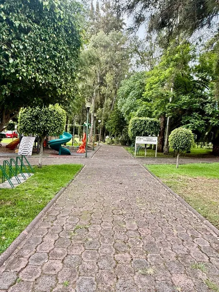 Foto 20