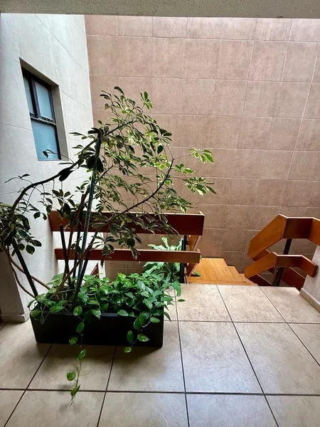 Foto 15