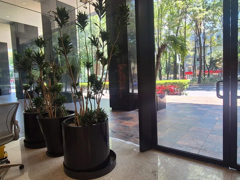 Oficina en renta · Anzures, Miguel Hidalgo, Ciudad de México Oficina en renta · Anzures, Miguel Hidalgo, Ciudad de México