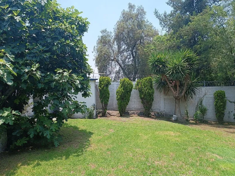 Foto 43