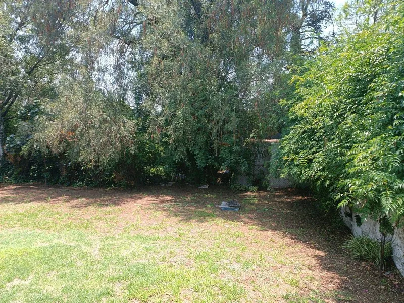 Foto 44