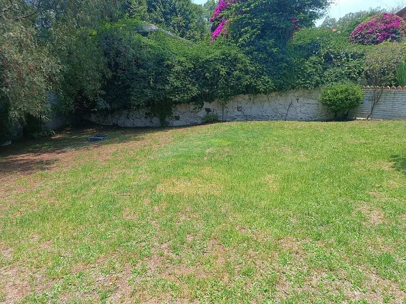 Foto 40