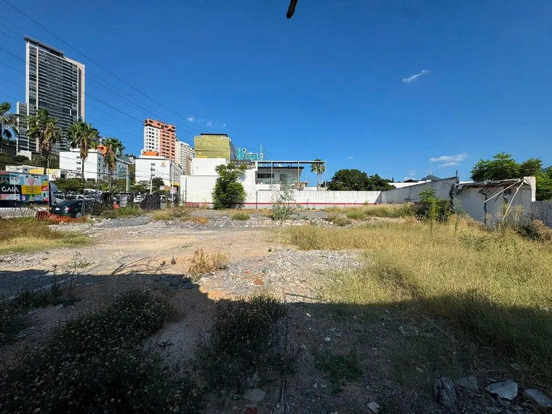 Foto 19