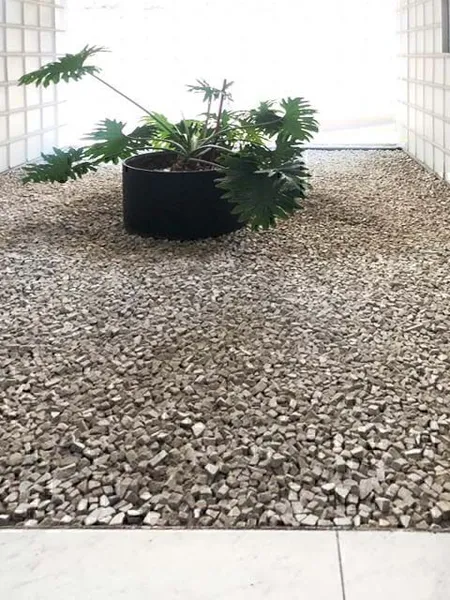 Foto 23