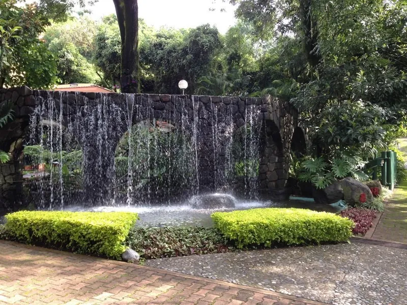 Foto 11