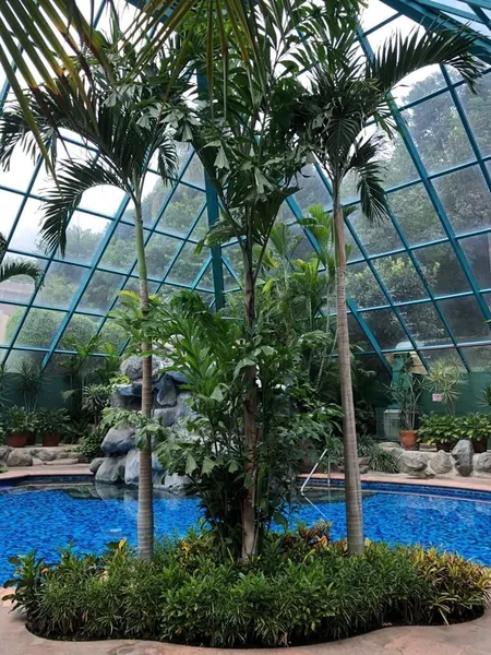 Foto 9