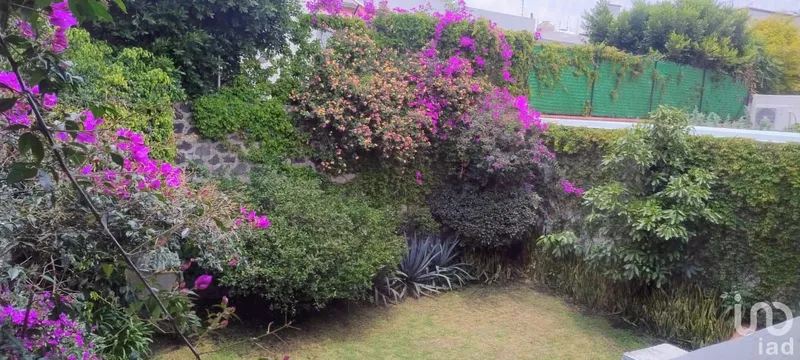 Foto 25