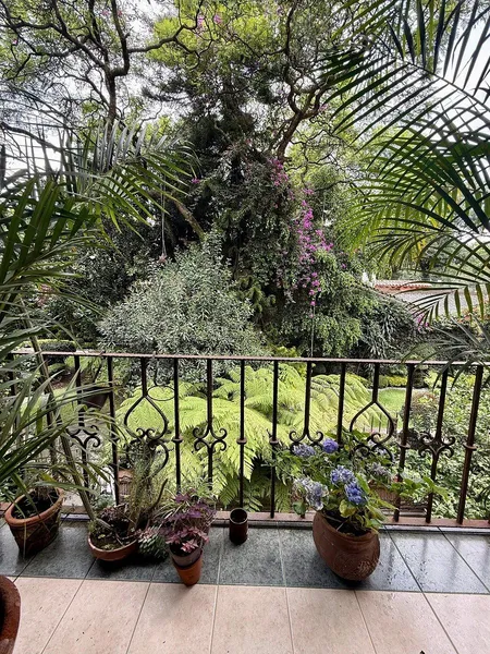 Foto 20