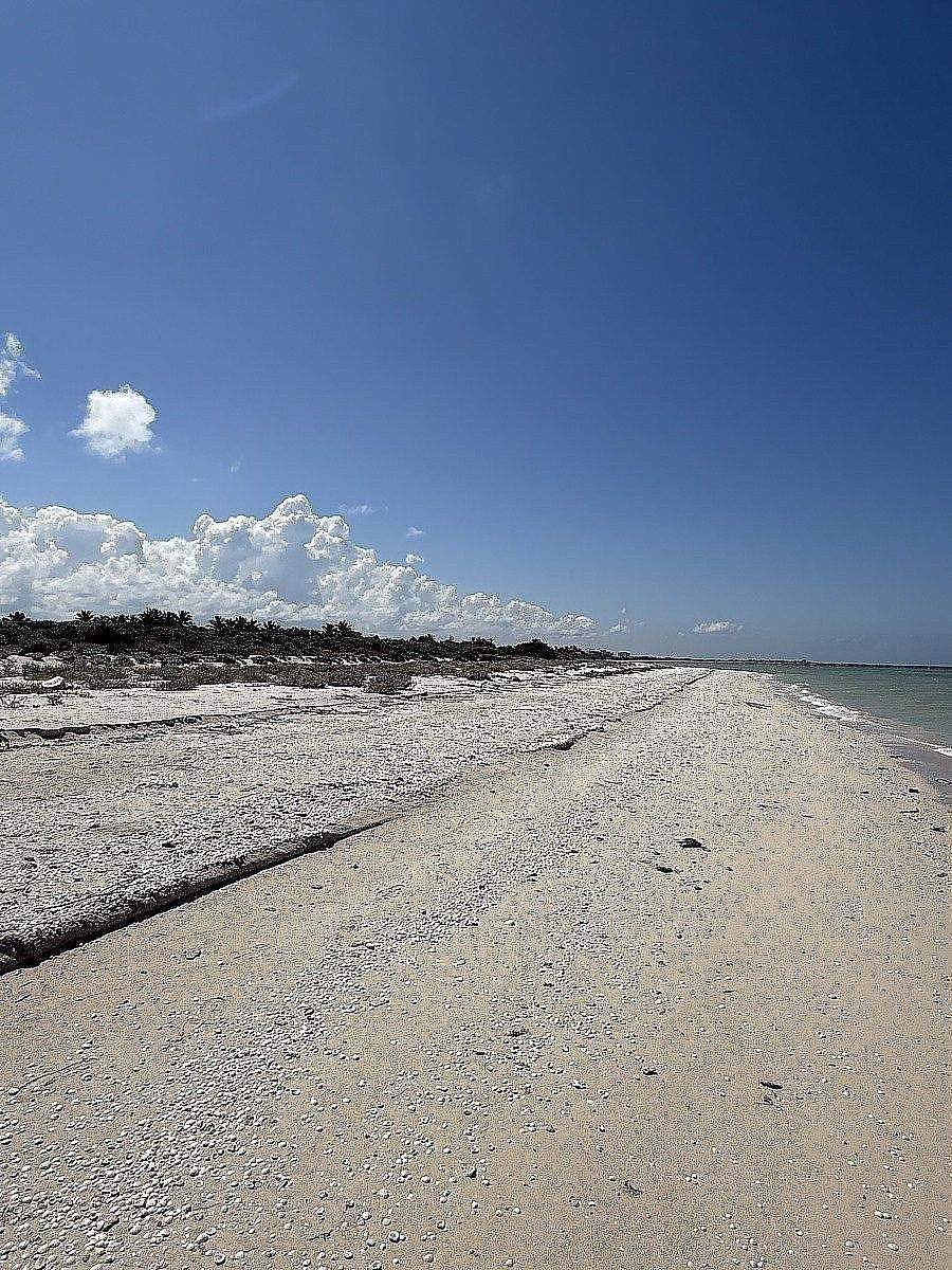 Lote en venta · Sisal, Hunucmá, Yucatán