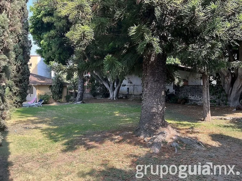 Foto 15
