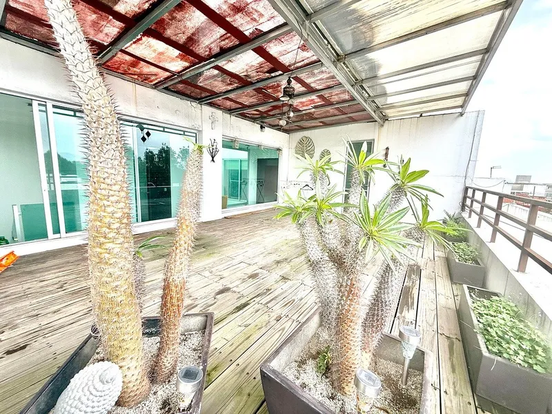 Foto 19
