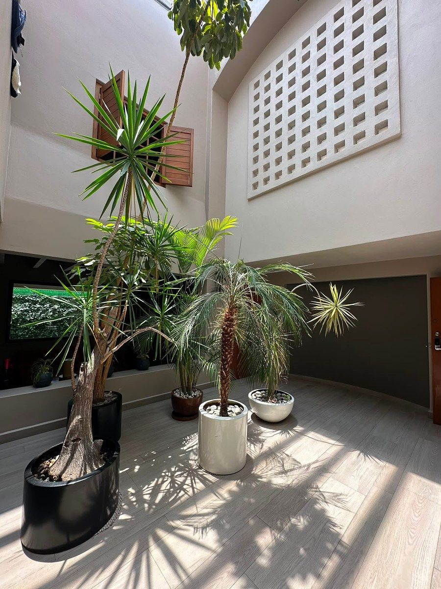 Condominio en venta · Las Águilas, Álvaro Obregón, Ciudad de México
