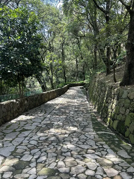 Foto 14