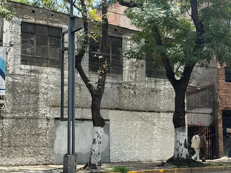 Foto 6