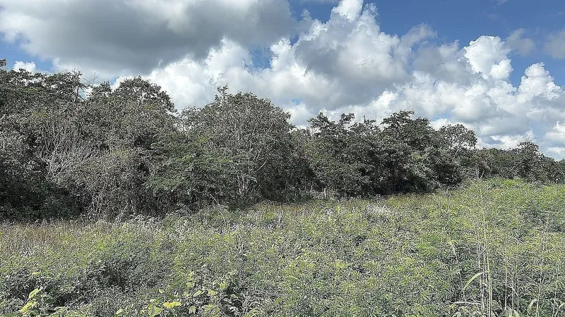 Lote en venta · Ampliación Tixcacal Opichen, Mérida, Yucatán