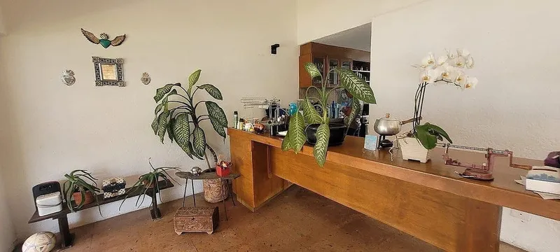 Foto 7