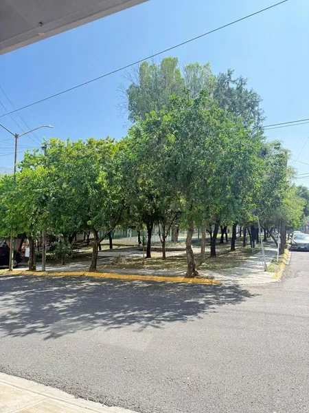 Foto 7