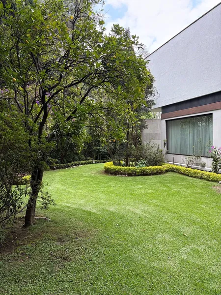 Foto 8