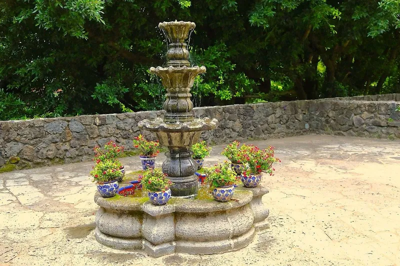 Foto 7