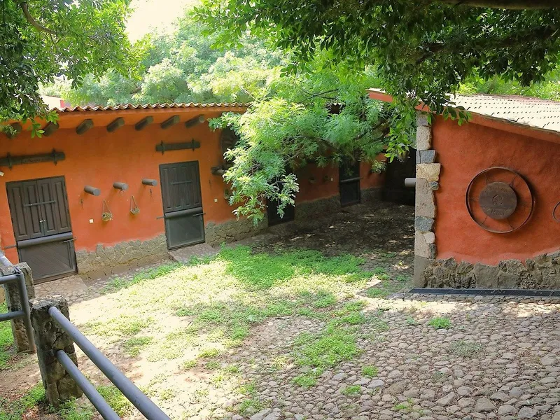 Foto 5