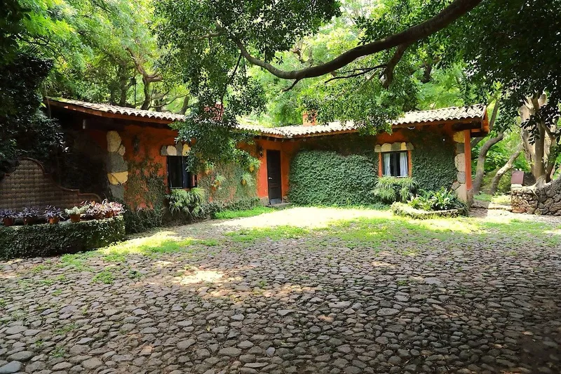 Foto 4