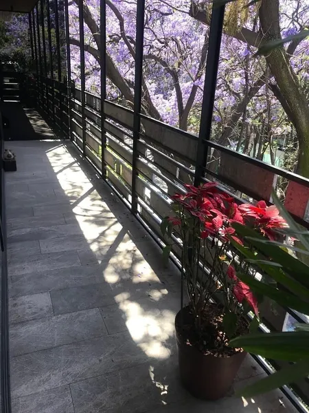 Foto 17