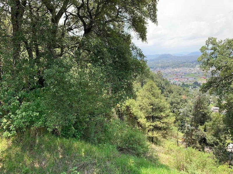Lote en venta · San Miguel, Ocoyoacac, Estado de México