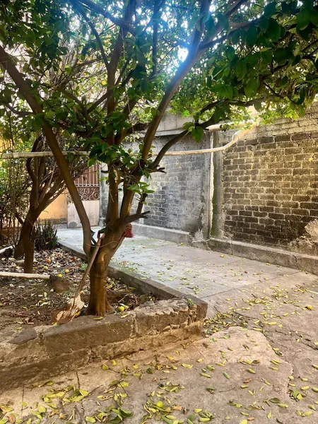 foto-3