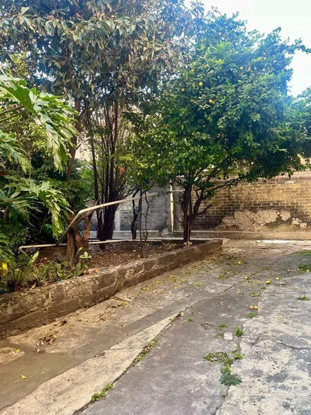 Lote en venta · Portales Norte, Portales, Benito Juárez, Ciudad de México
