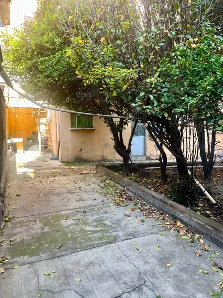 foto-4