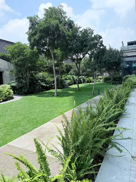 Foto 37