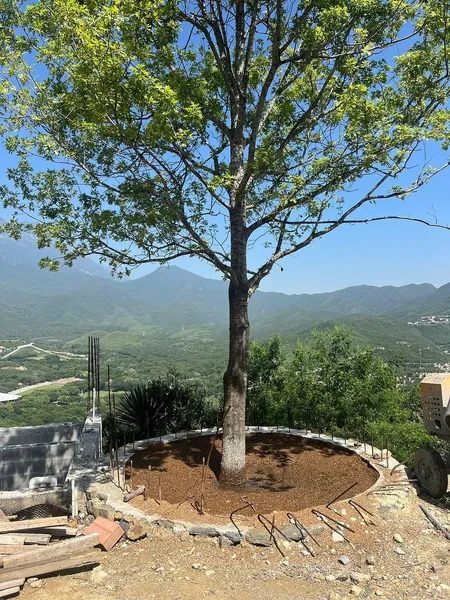Foto 16
