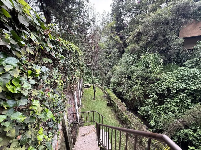 Foto 45