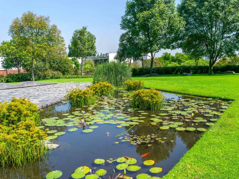 cobalto jardines.jpg